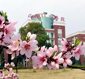 校园春景