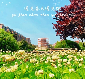 校园春景