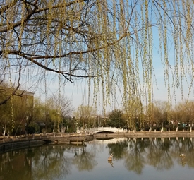 钢琴湖